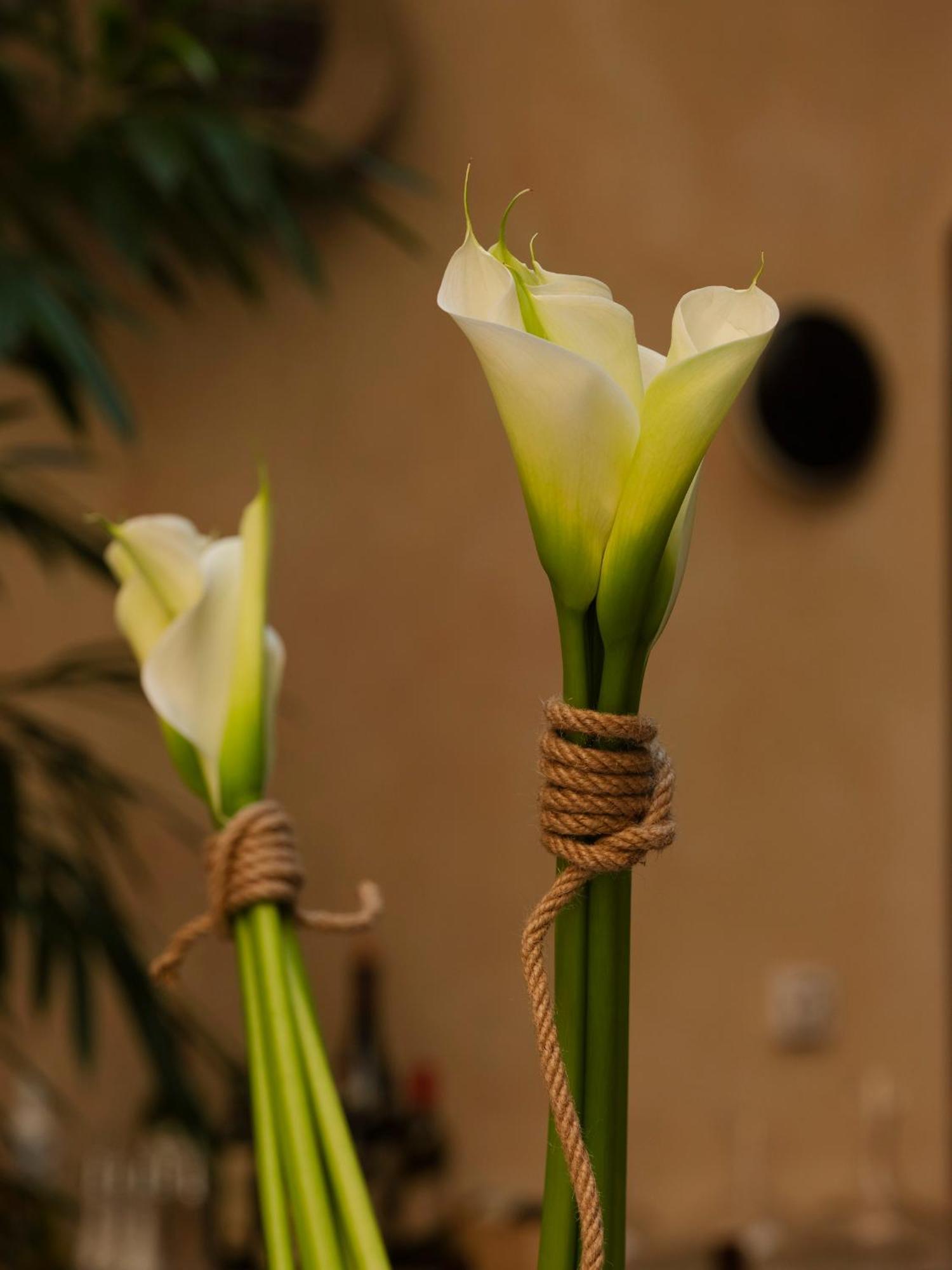 Hotel Copernicus Cracovia